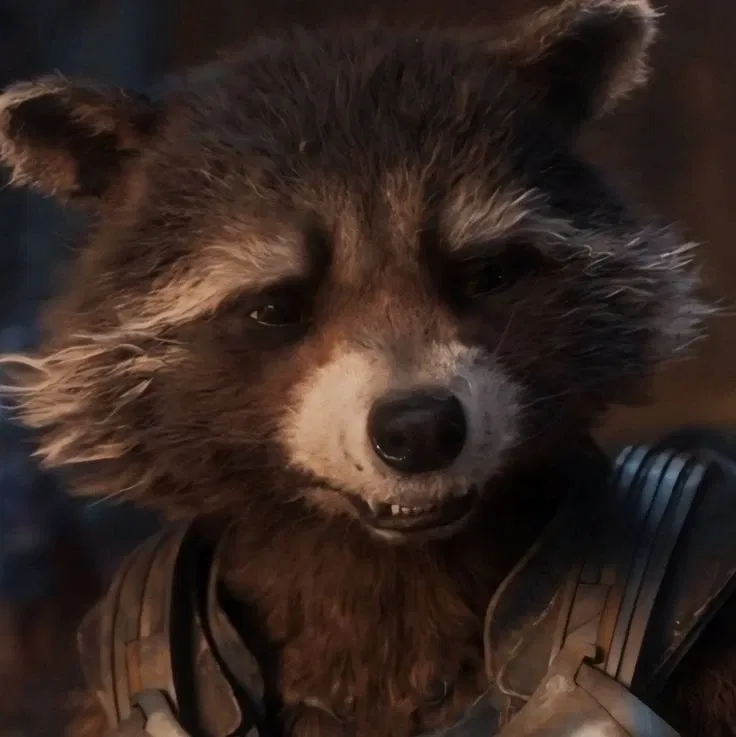 Avatar of Rocket racoon 