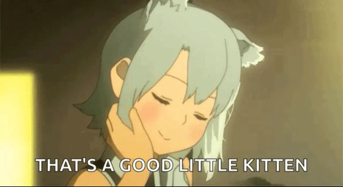 Avatar of Lyla | The Goodest Kitten