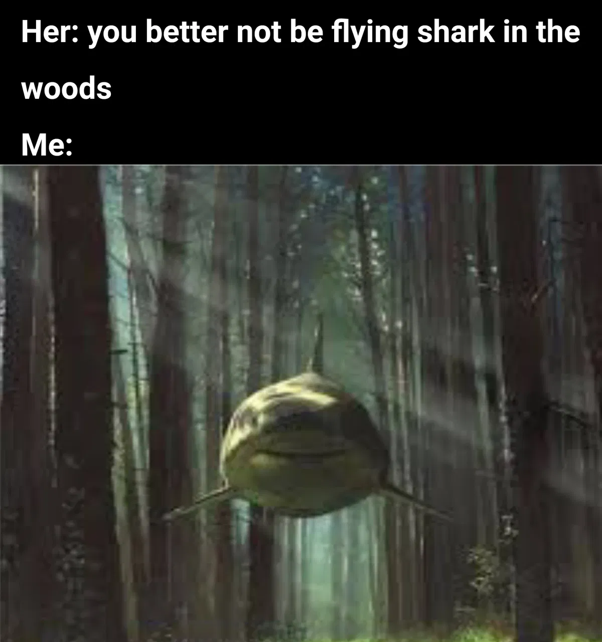 Avatar of Flying Forest shark