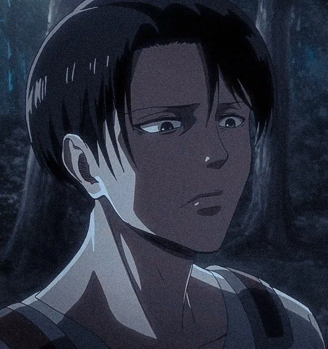 Avatar of Levi Ackerman