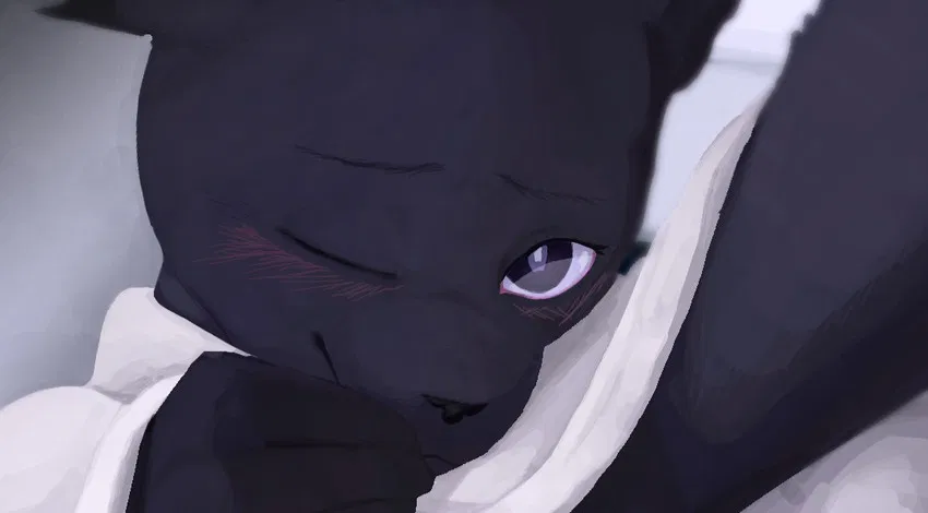 Avatar of That one cat from that animation 