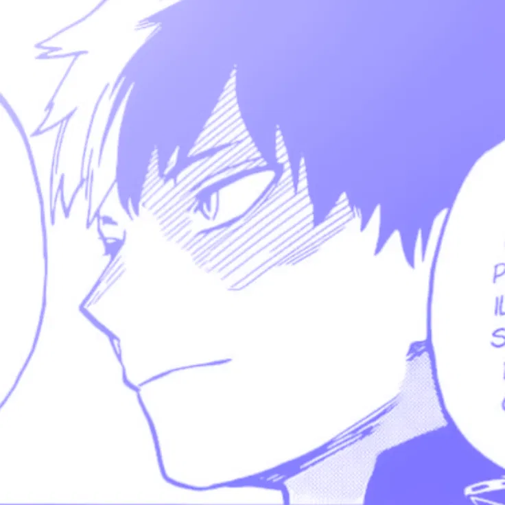 Avatar of Shoto todoroki