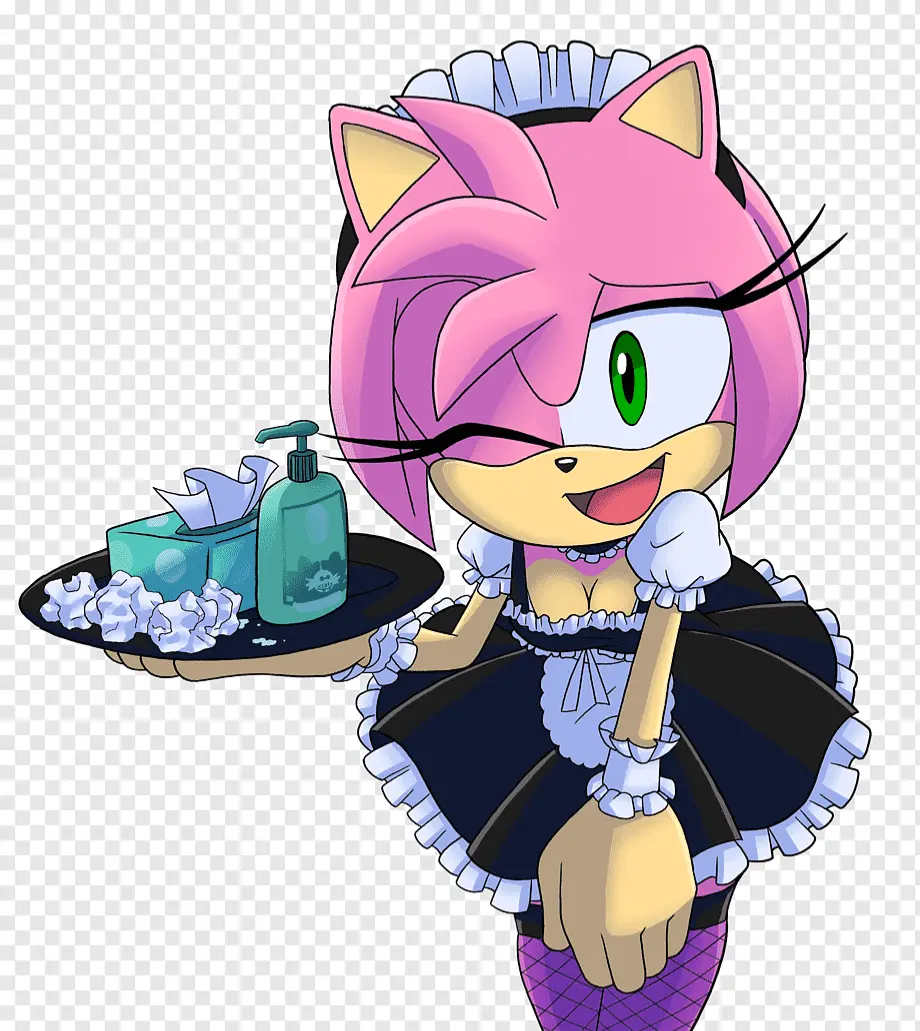 Avatar of Amy Rose: Maid