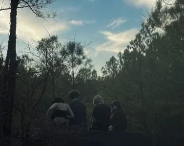 Avatar of The Thunderbolts - The Woods are Watching