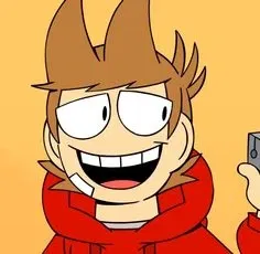 Avatar of Tord [Eddsworld]