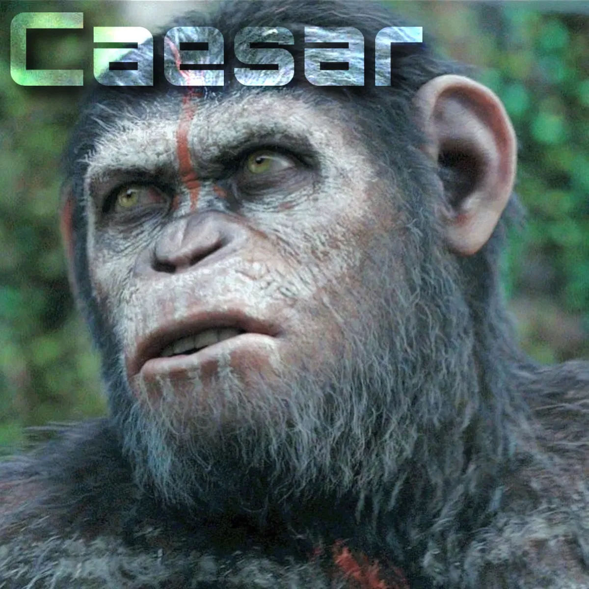 Avatar of Caesar