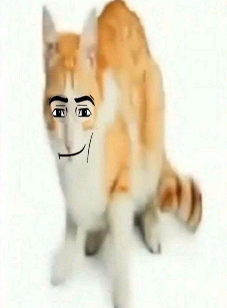 Avatar of Test