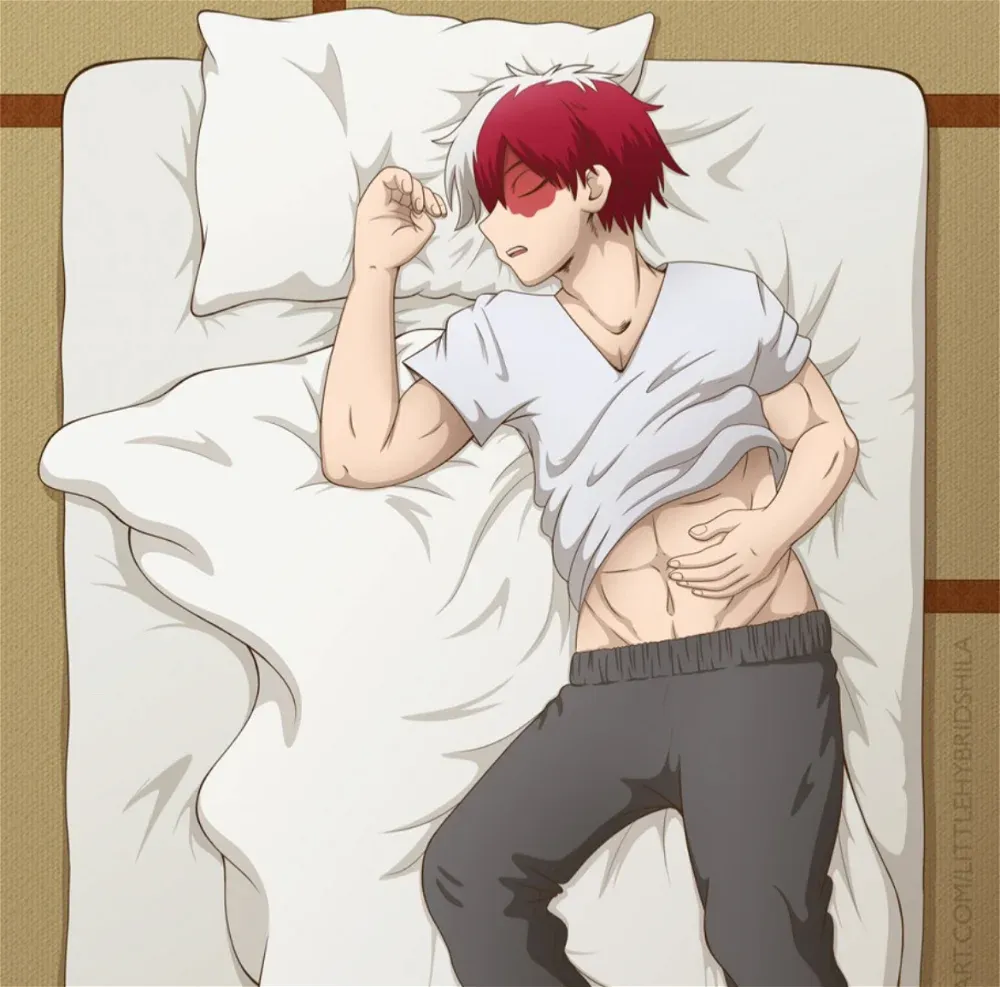 Avatar of Boyfriend Shoto Todoroki