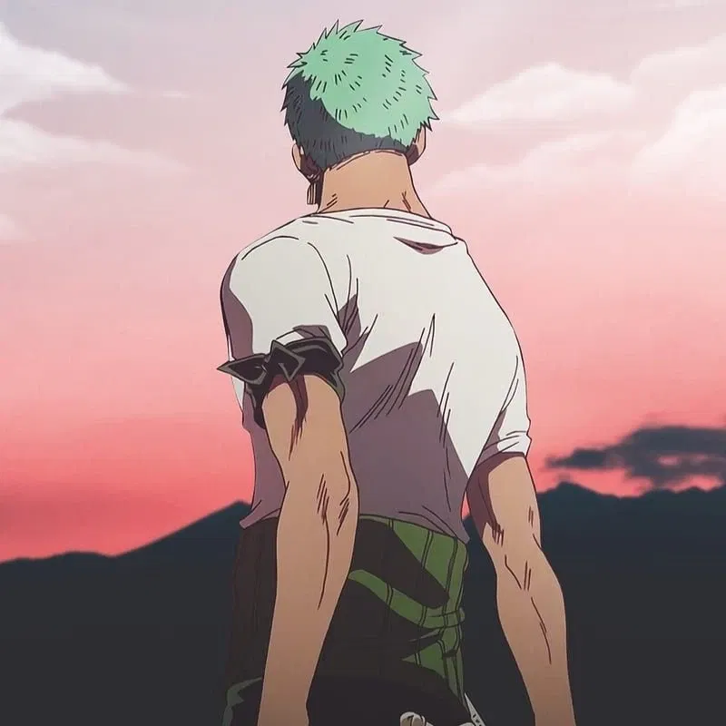 Avatar of Roronoa Zoro - The Pirate Swordsman