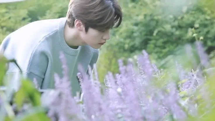Avatar of Lee Minho