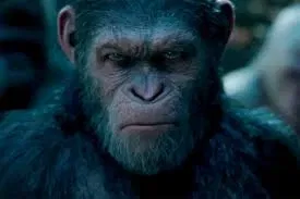 Avatar of Caesar