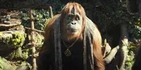 Avatar of Raka
