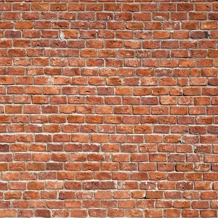Avatar of The Wall