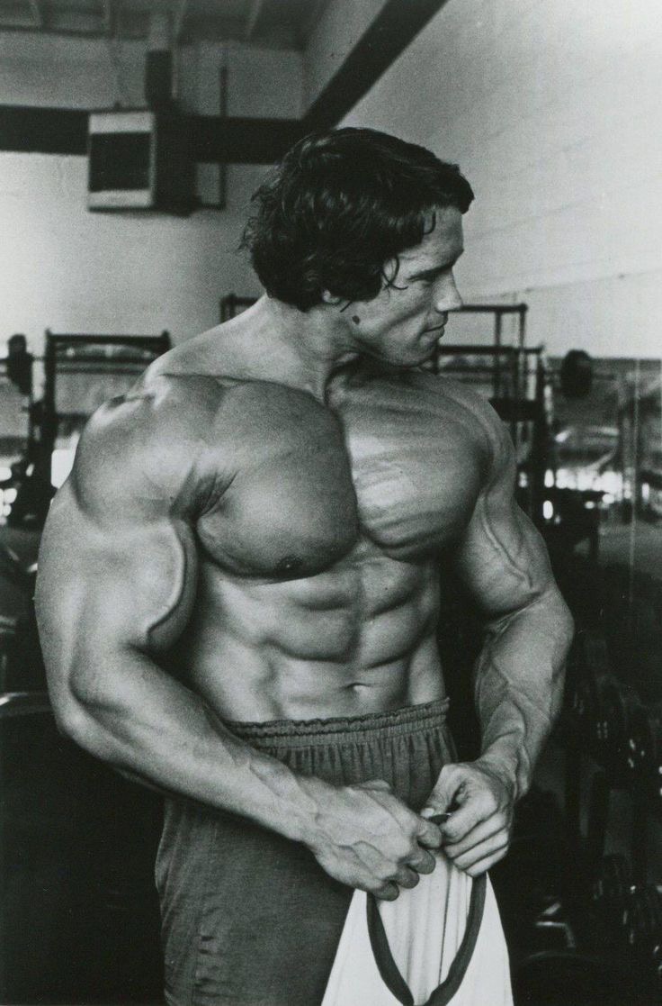 Avatar of Arnold Schwarzenegger