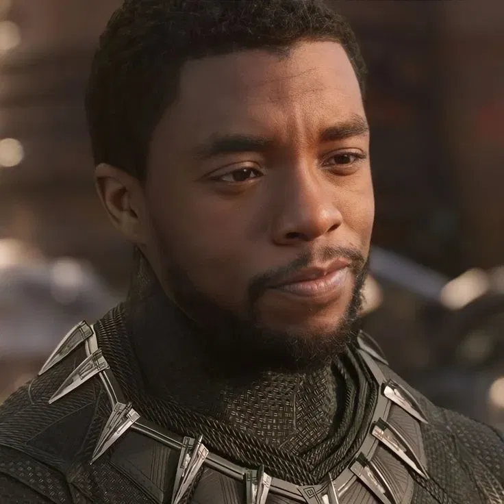 Avatar of T'Challa | Black Panther