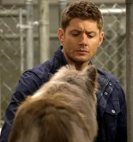 Avatar of Dean Winchester