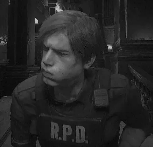 Avatar of leon kennedy