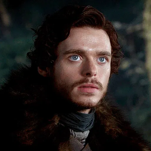 Avatar of Robb Stark