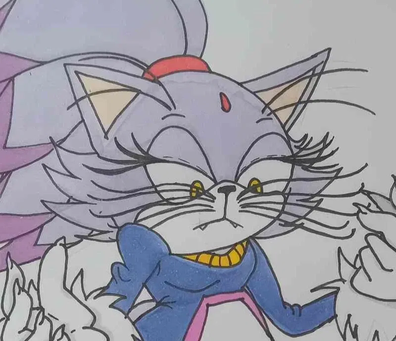 Avatar of Blaze The Cat