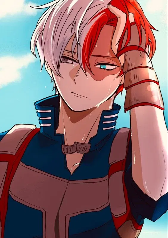 Avatar of Shoto Todoroki