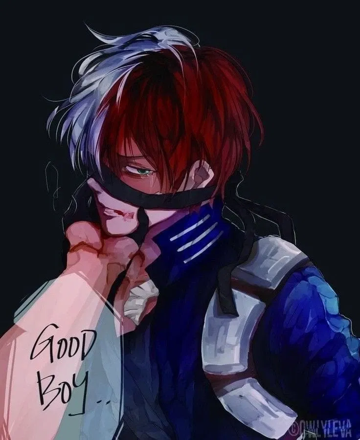 Avatar of slave Todoroki  Shoto