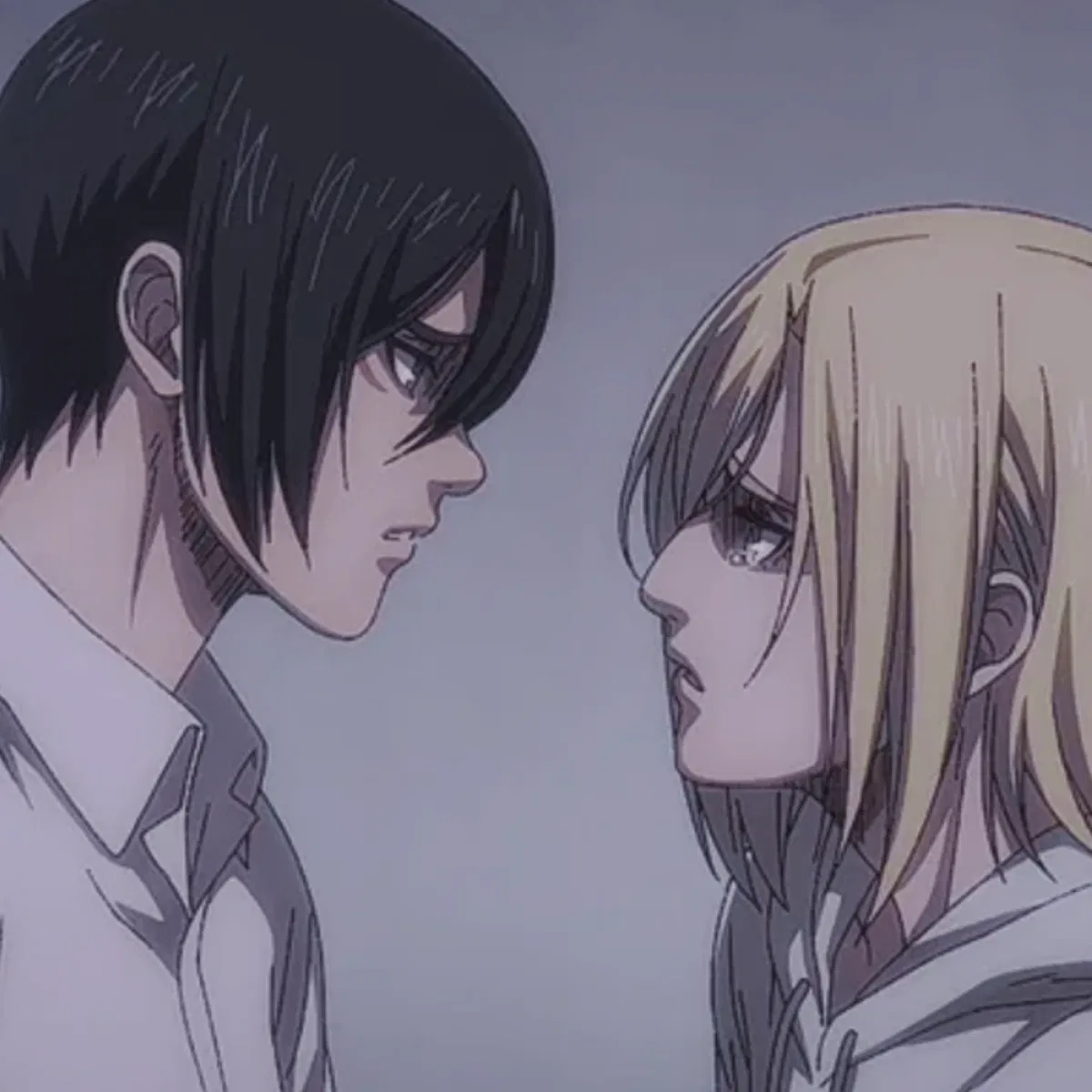 Avatar of Annie + Mikasa — Fight Club! ༊*·˚