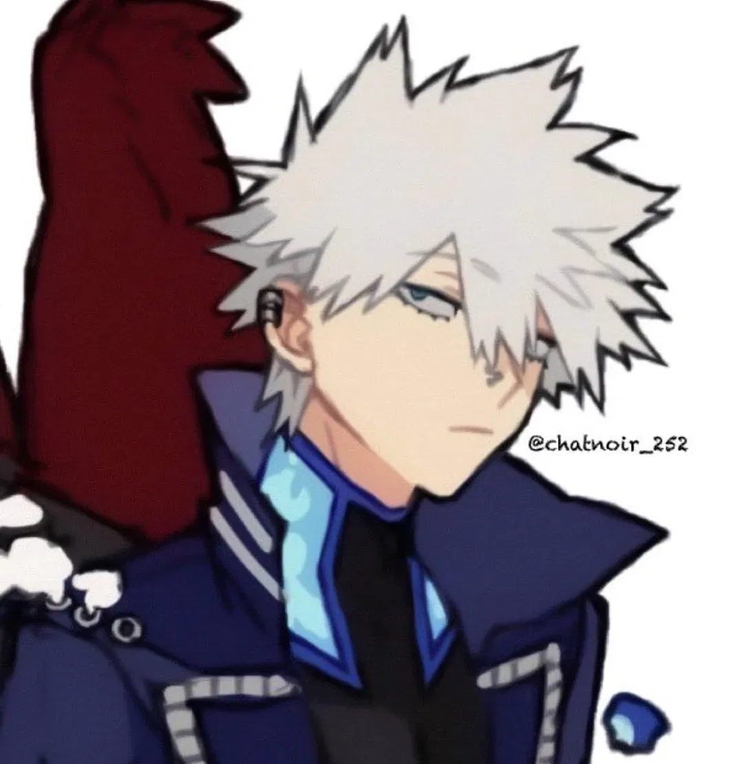 Avatar of Touya Todoroki