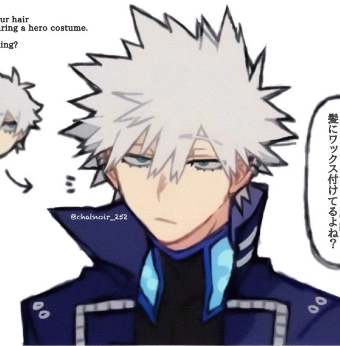 Avatar of Touya Todoroki