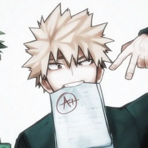 Avatar of Bakugou Katsuki's brother