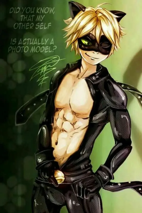 Avatar of cat noir