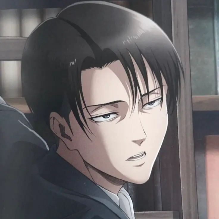 Avatar of Levi Ackerman