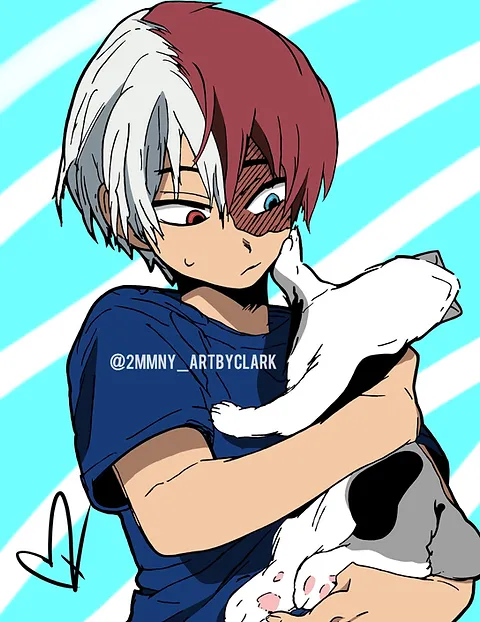 Avatar of Shoto Todoroki