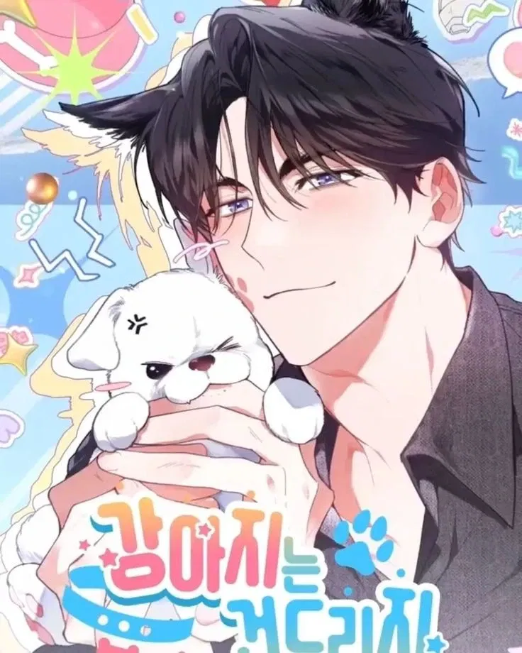 Avatar of Chi-Young°` Líder, e seu dono `°