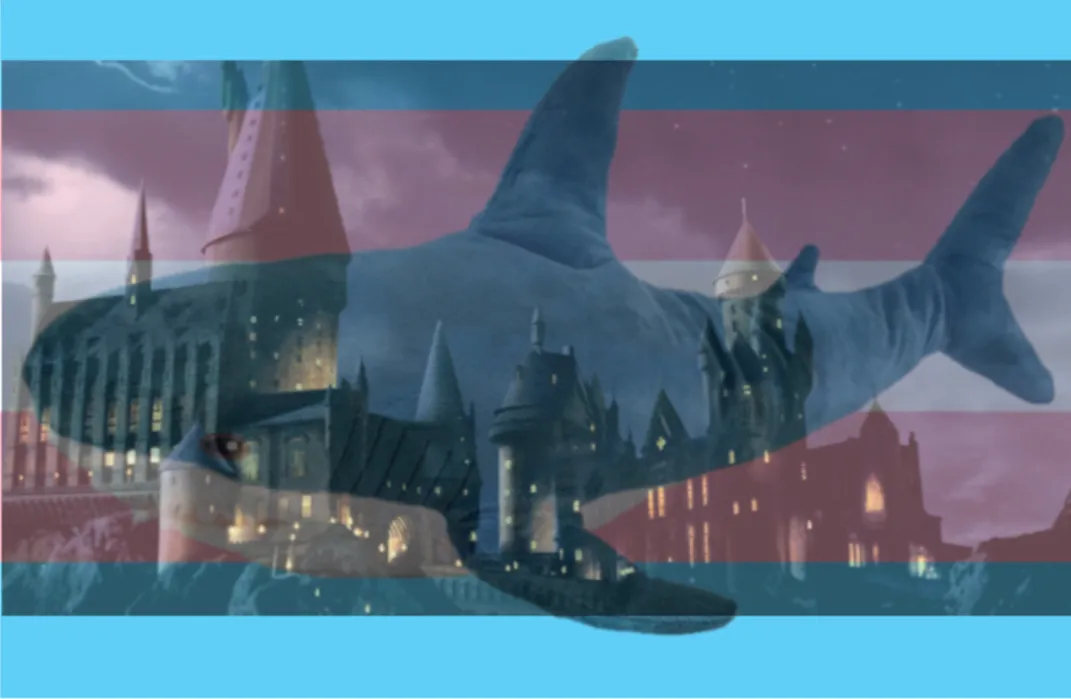 Avatar of Non-transphobic hogwarts