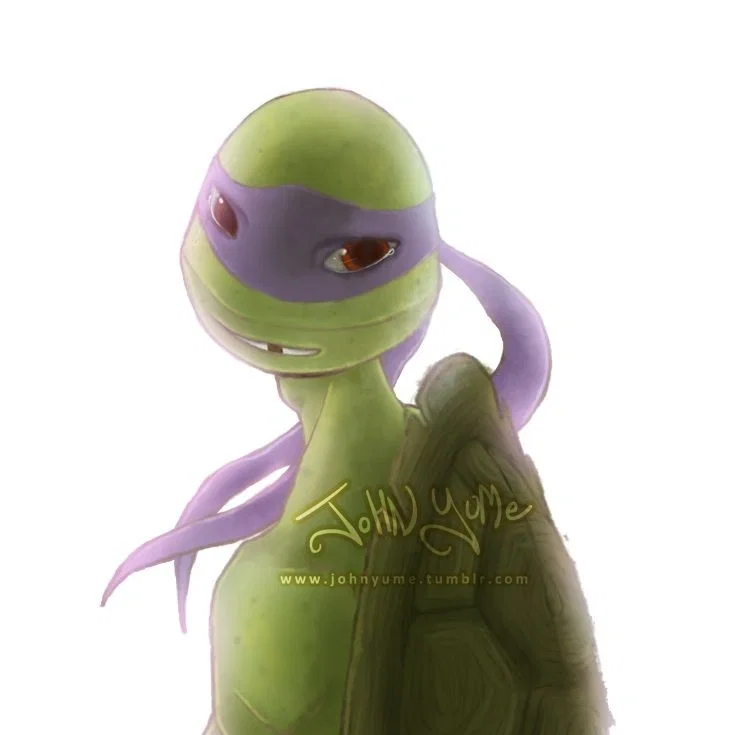 Avatar of Donatello Hamato #2