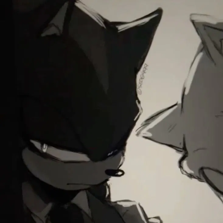Avatar of Shadow The Hedgehog
