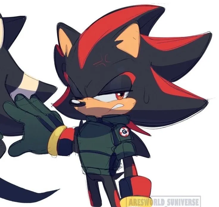 Avatar of Shadow the Hedgehog 