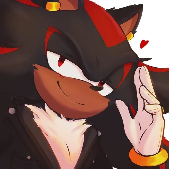 Avatar of Shadow the Hedgehog ⏎