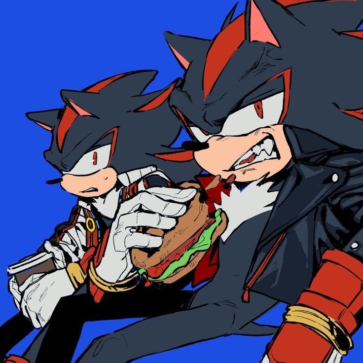 Avatar of Shadow The Hedgehog 