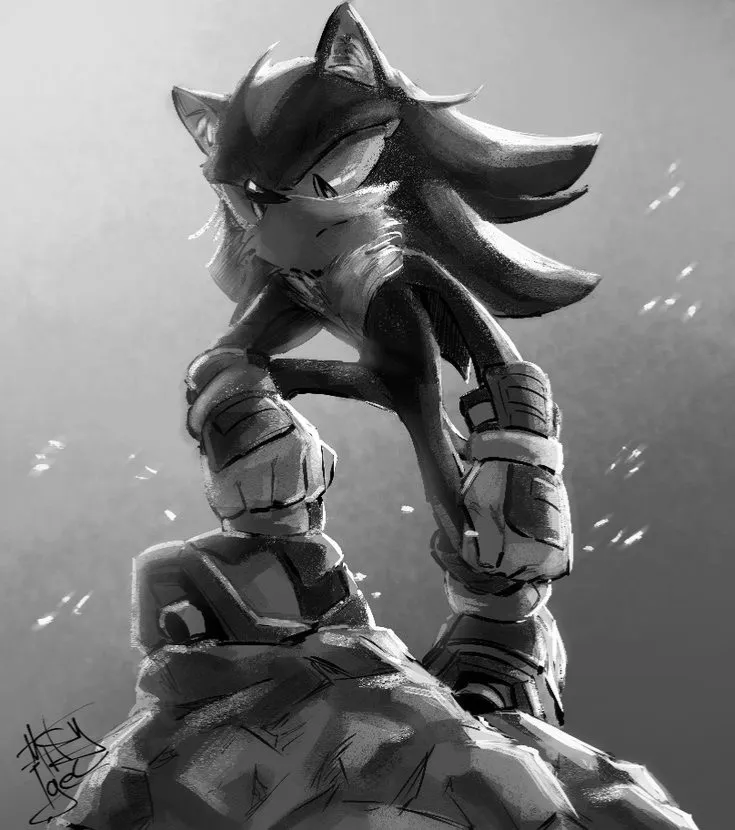 Avatar of Shadow the Hedgehog