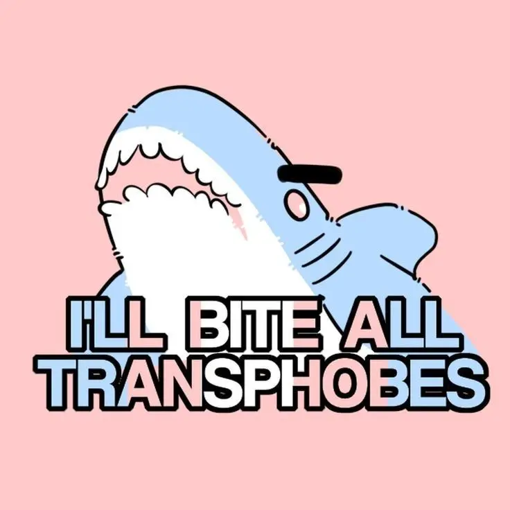 Avatar of Emotional support blähaj