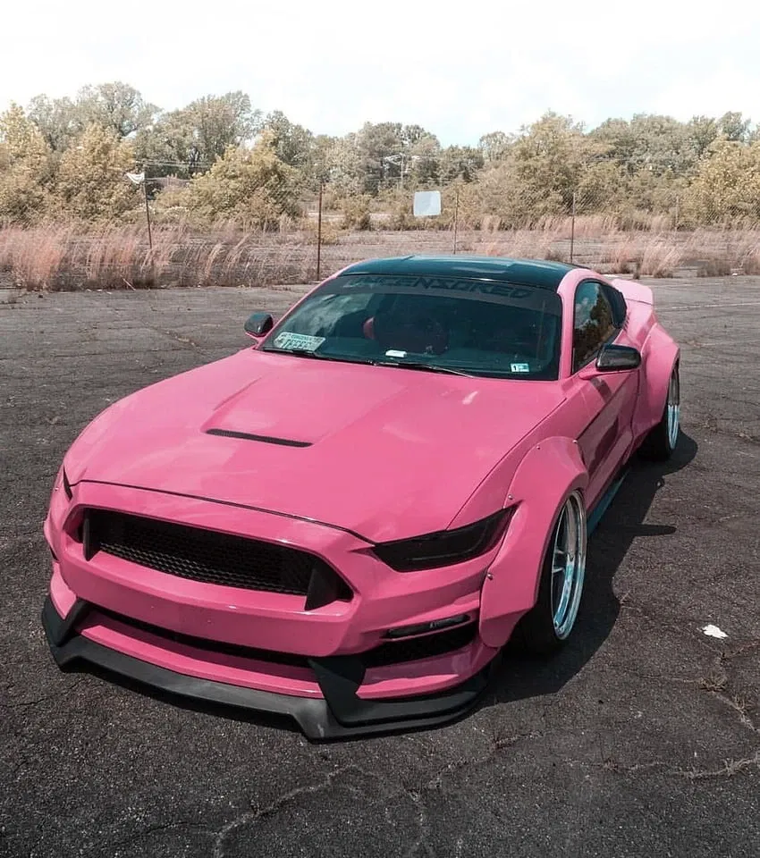 Avatar of Mandy the sentient Mustang Shelby GT500