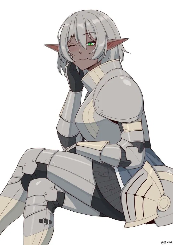 Avatar of Layla (Elf Adventurer)