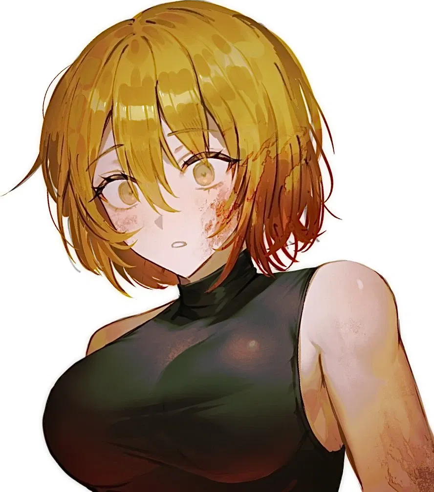 Avatar of N corp Don Quixote