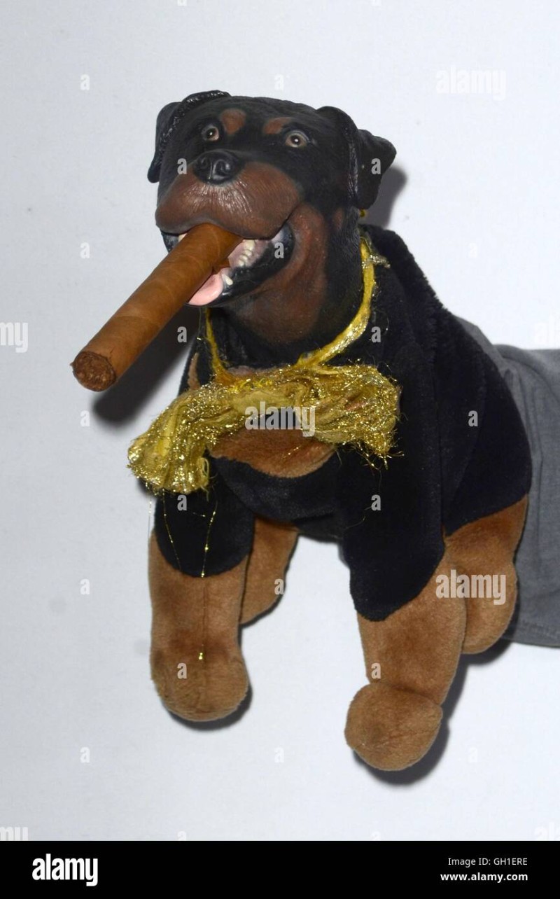 Avatar of Triumph the insult comic dog