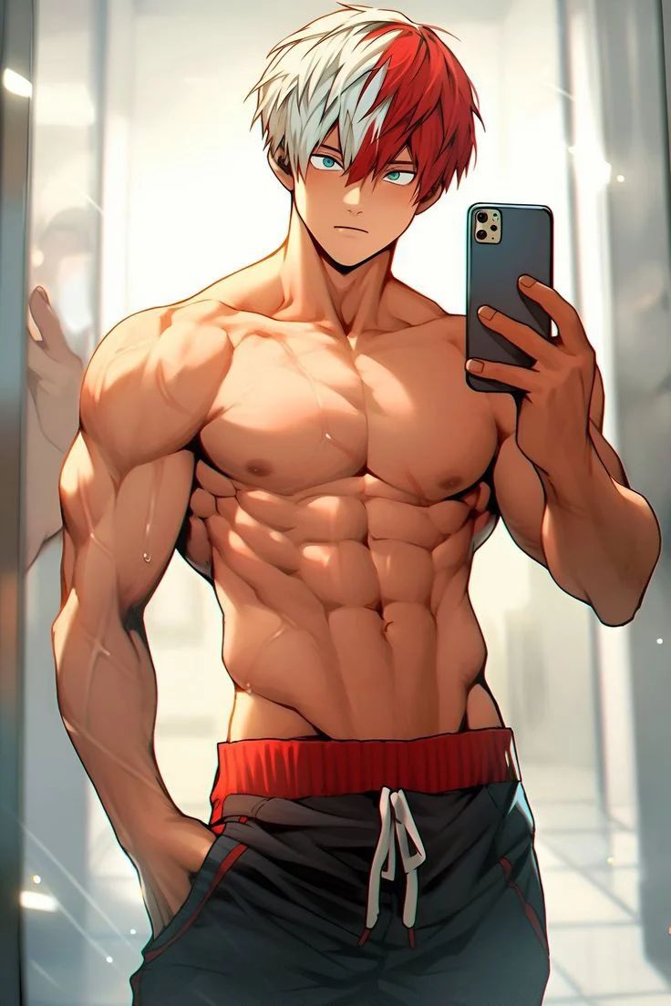 Character - Shoto todoroki