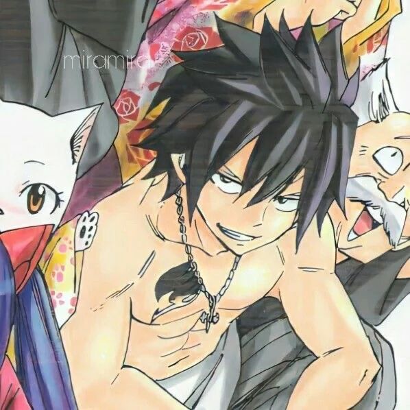 Avatar of Gray fullbuster