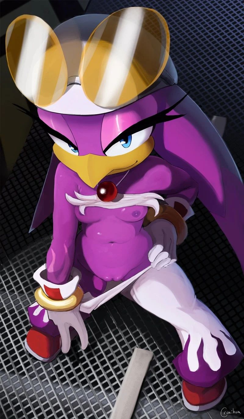 Avatar of 🔞💜 Wave The Swallow 💜🔞