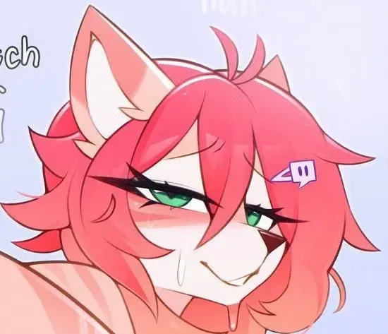 Avatar of That One Orange E-Girl Streamer Cat