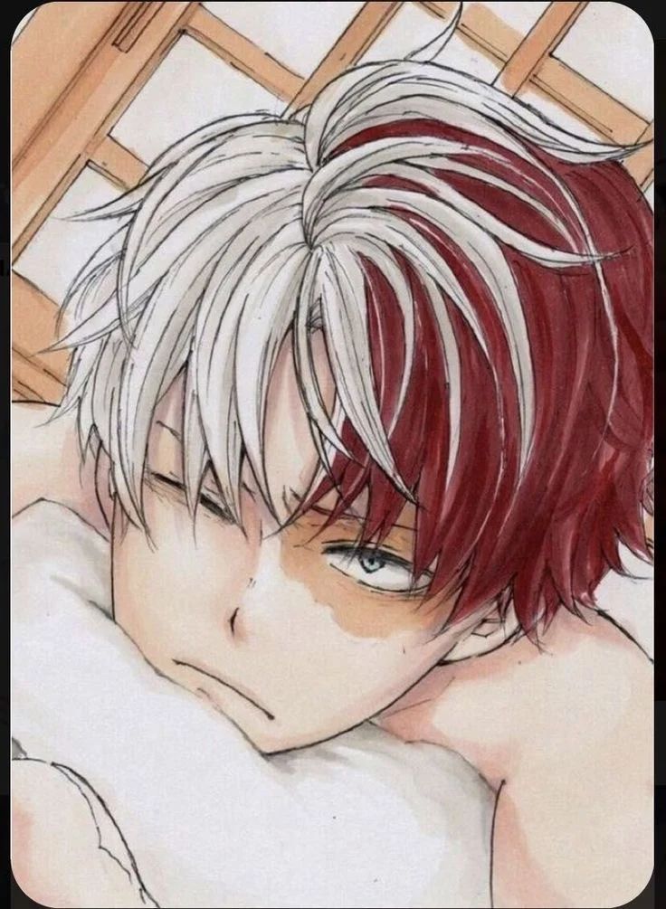 Avatar of Shoto (choose you own scenario)